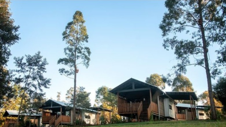 Cabins at The Crocodile Lodge