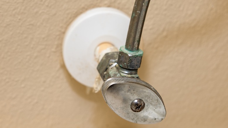 Toilet valve