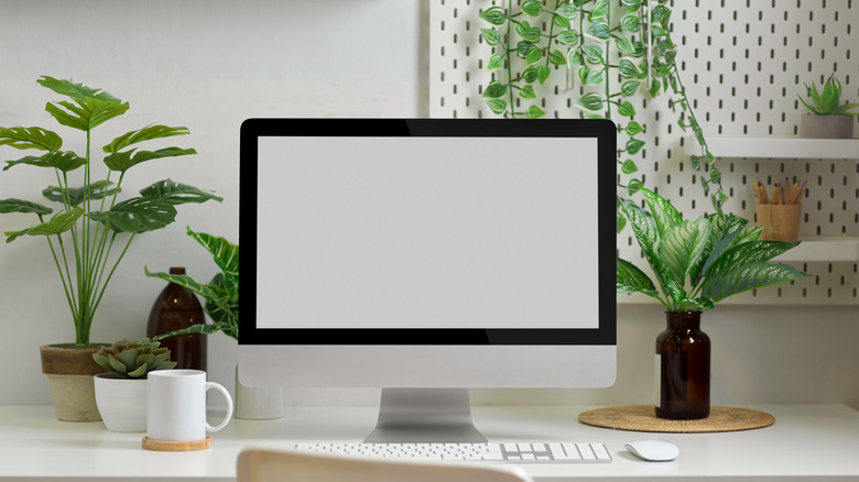 Home work desk with plants