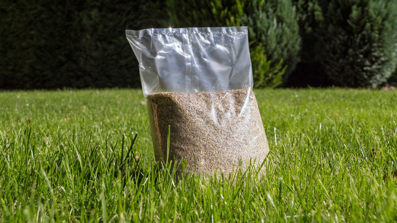 lawn with grass seed bag