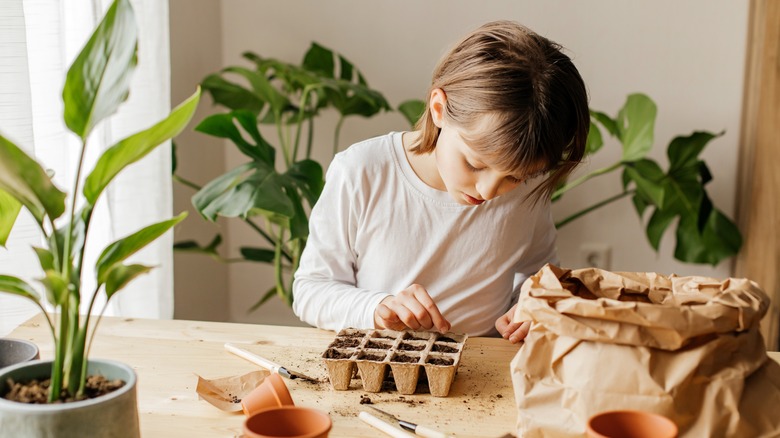 child starting seeds