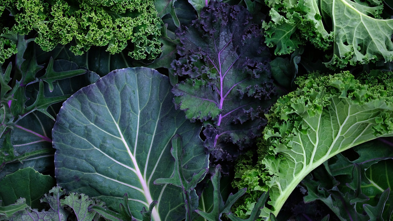 kale leaves