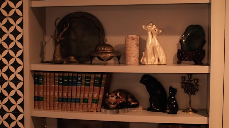 shelves in the Cat room