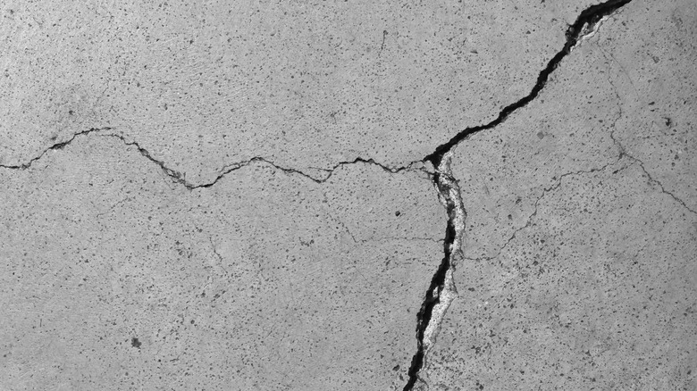 Cracked cement floor