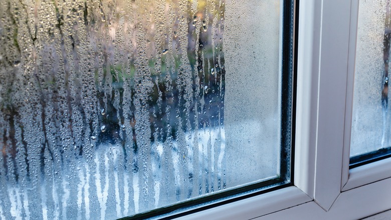 Condensation on a window