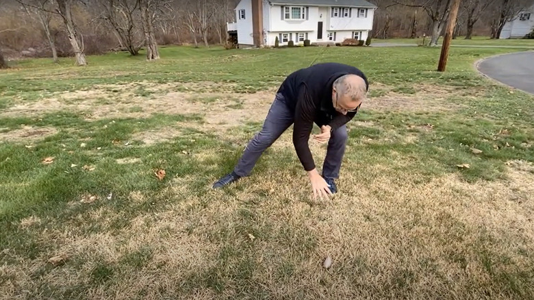 Person testing lawn with zoysia grass