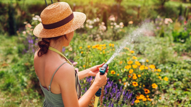 woman watering garden