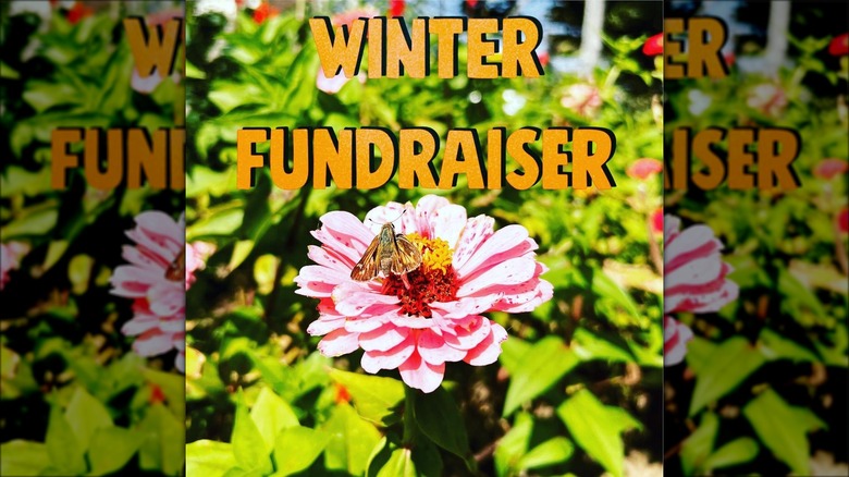 winter fundraiser poster