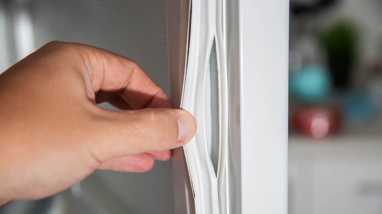 Refrigerator gasket seal that's broken