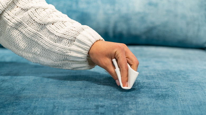 Woman cleaning blue upholstered couch