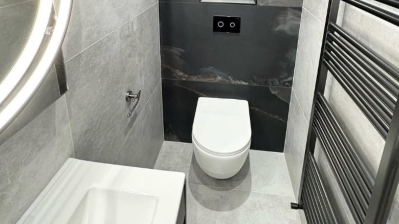 Dark marble behind toilet