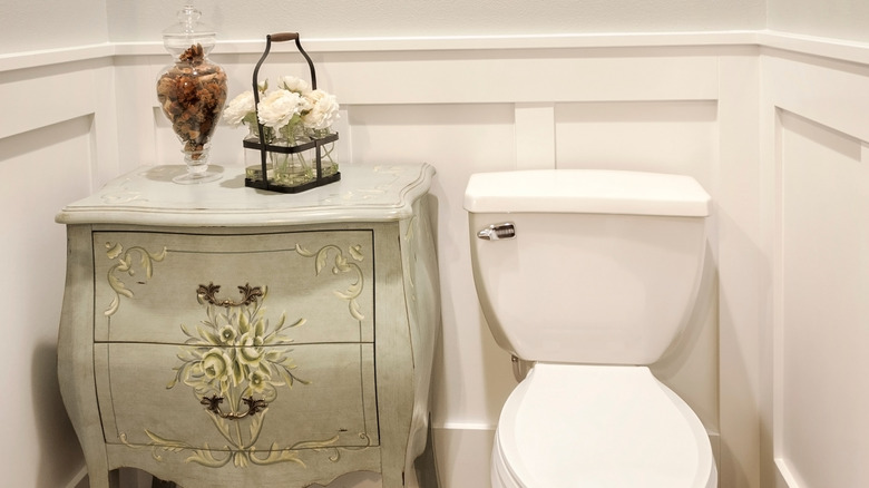 Toilet with white wainscotting