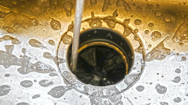 bubbles around garbage disposal