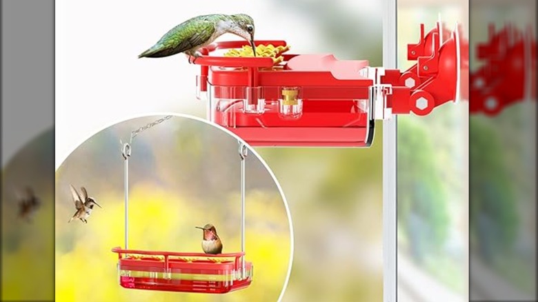 hummingbirds on red feeders