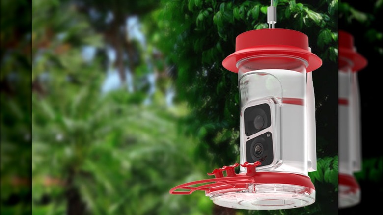 red hummingbird feeder with camera