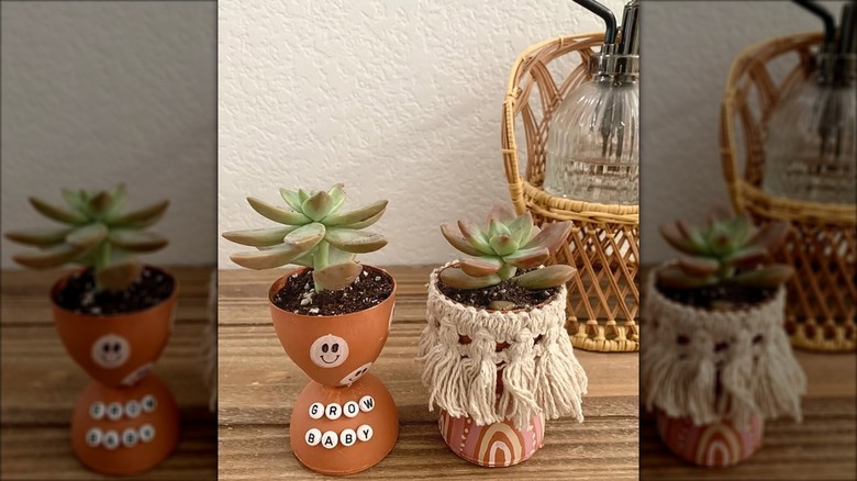 Plastic Easter eggs repurposed into cute boho succulent planters