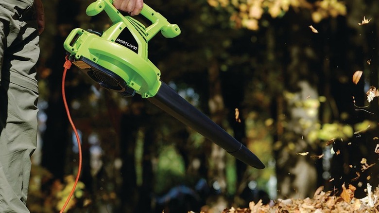 A person using a leaf blower to blow leaves