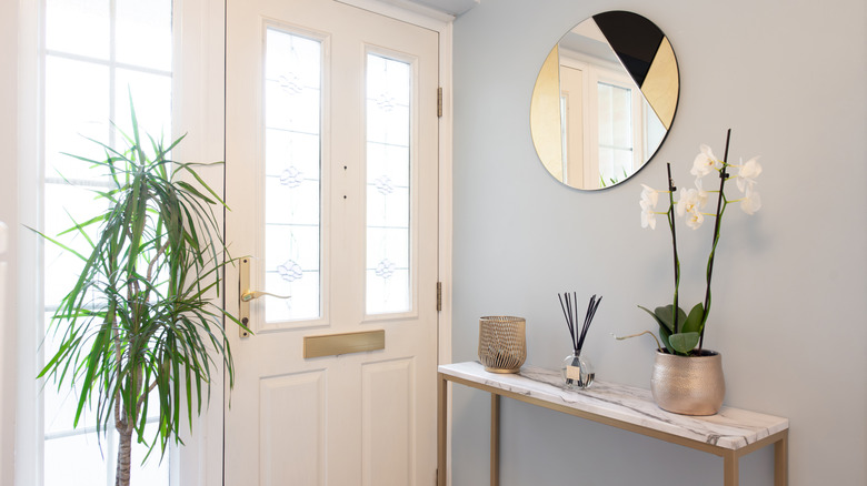 Entryway with plants and mirror