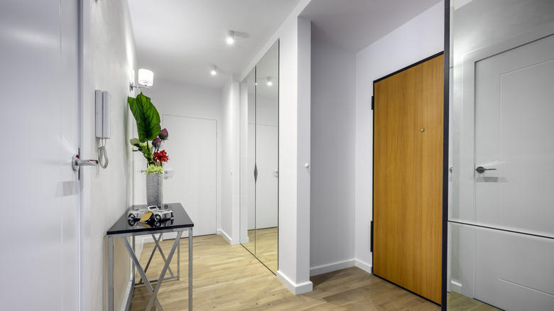 Entryway with stark overhead lighting