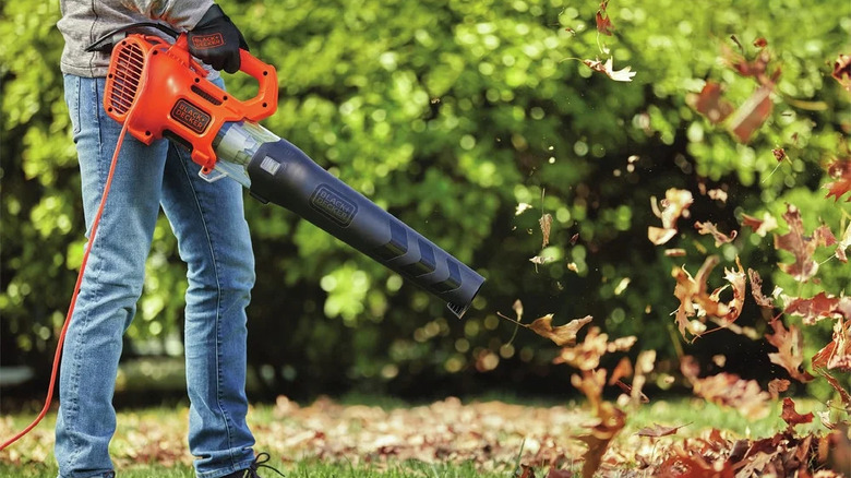 Black+Decker leaf blower