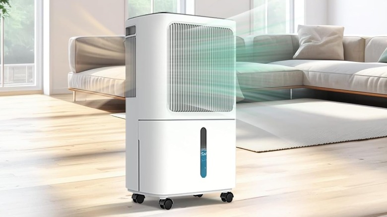 A Veagaso dehumidifier in a living room