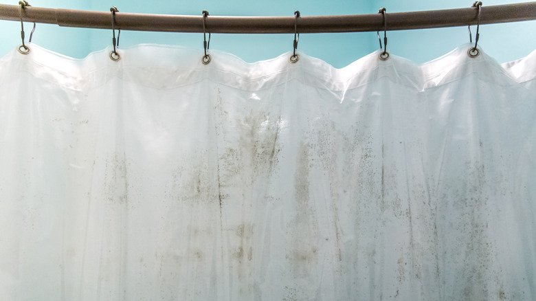 A dingy and moldy white shower curtain is shown hanging from a droopy rod