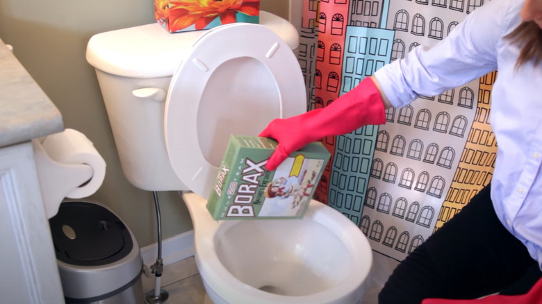 sprinkling borax in toilet bowl