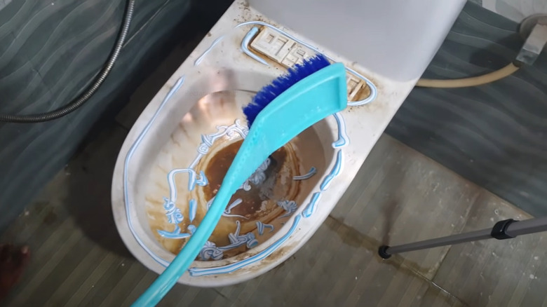 cleaning toilet with toothpaste