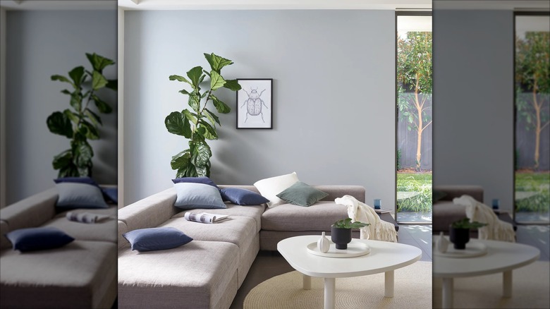 Light blue gray paint in modern living room