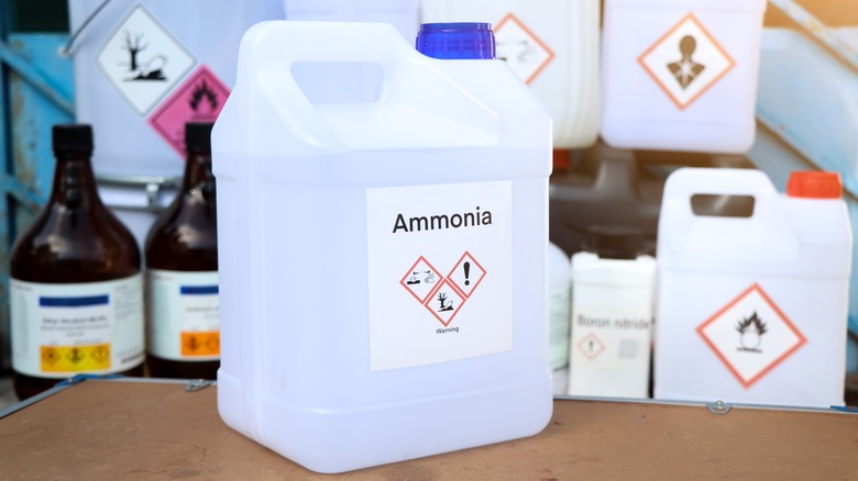 A bottle of ammonia