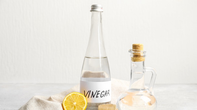 Bottle of vinegar