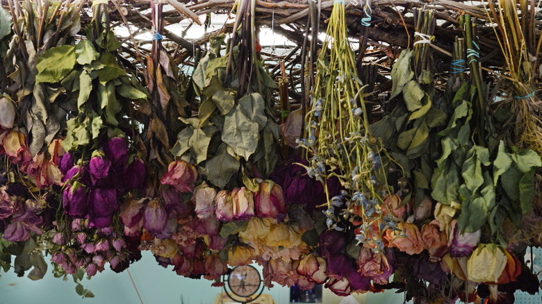 Dried flowers on ceiling