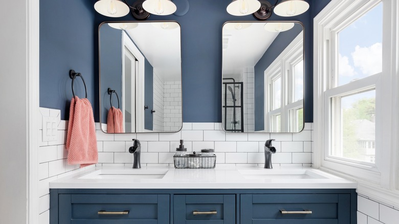 blue bathroom with double vanity