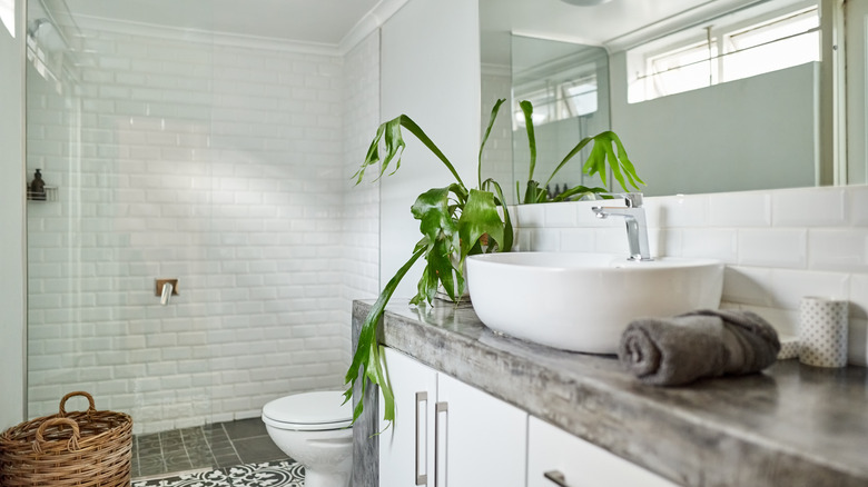 Clean bright bathroom white white tiled shower