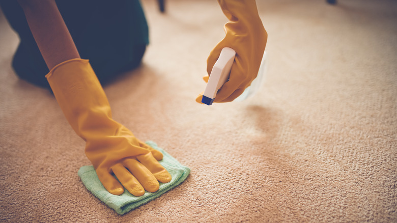 someone removing stain from carpet