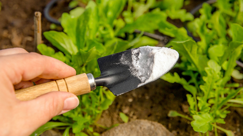 a small garden trowel