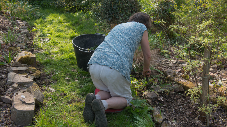 kneeling in garden with pad