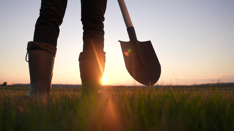 gardener with shovel