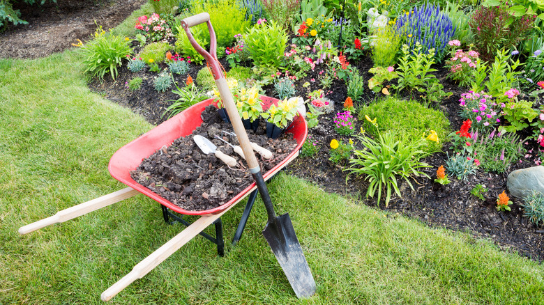 garden spade near wheelbarrow 