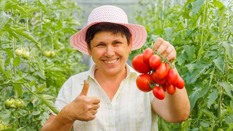 woman holding ripe tomatoes