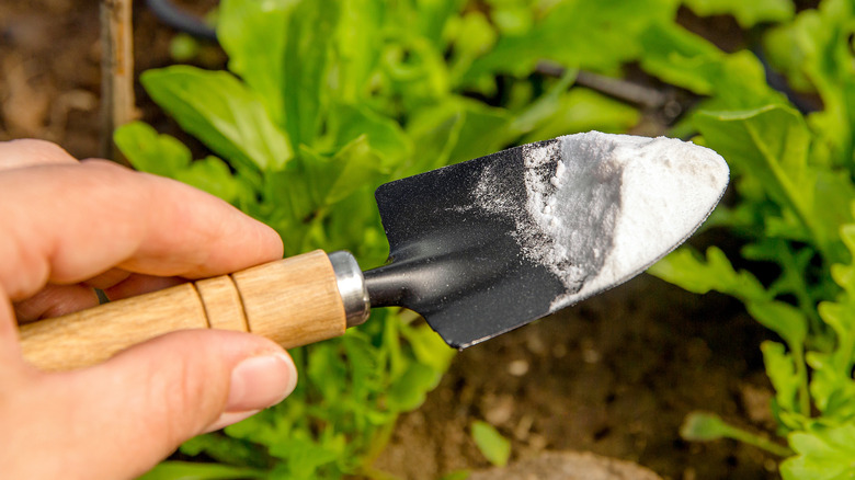 gardening trowel with baking soda