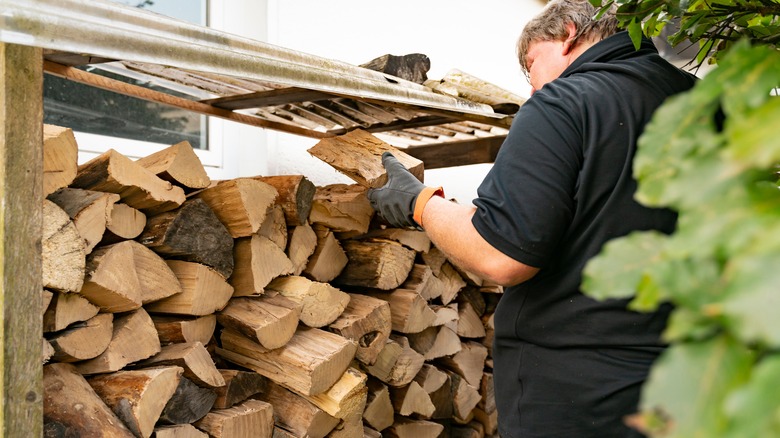 Man stacking firewood