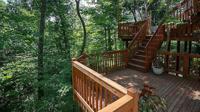 Cincinnati house in the trees