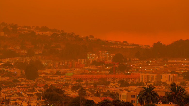 orange sky above San Fransisco