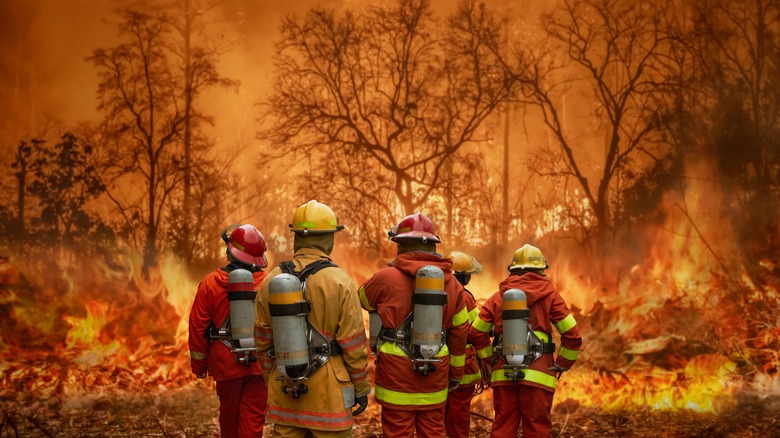 firefighters looking at a fire