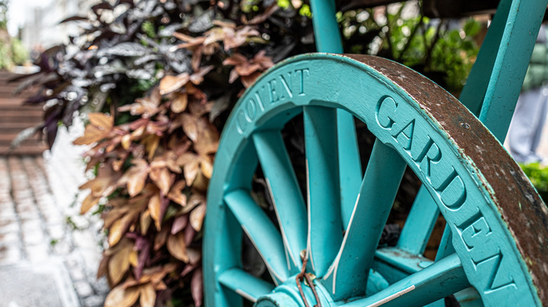 A teal-colored wagon wheel used at the entrance of a show garden