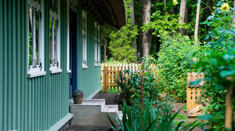 A teal house in a forest setting