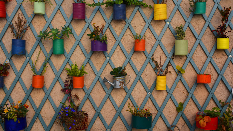 A wall with blue trellis and brightly colored hanging planters