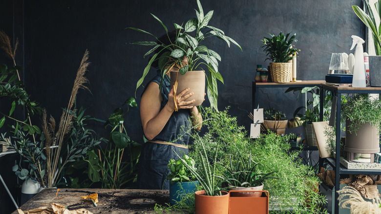 Woman standing in room surrounded by plants