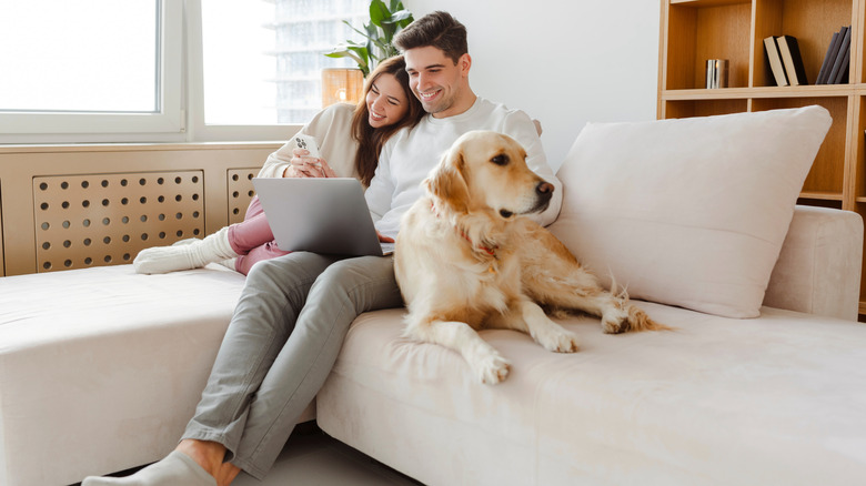 People and pet on white sofa